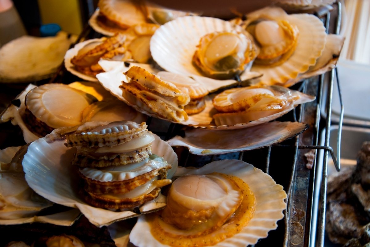 sò điệp nhật đông lạnh