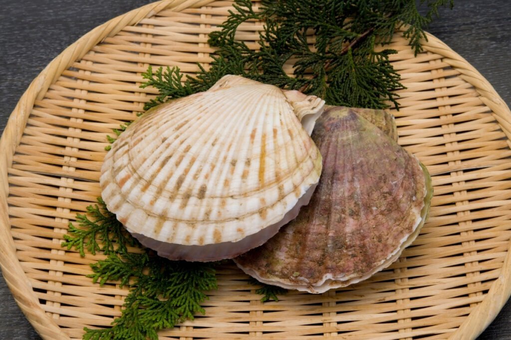 sò điệp nhật đông lạnh