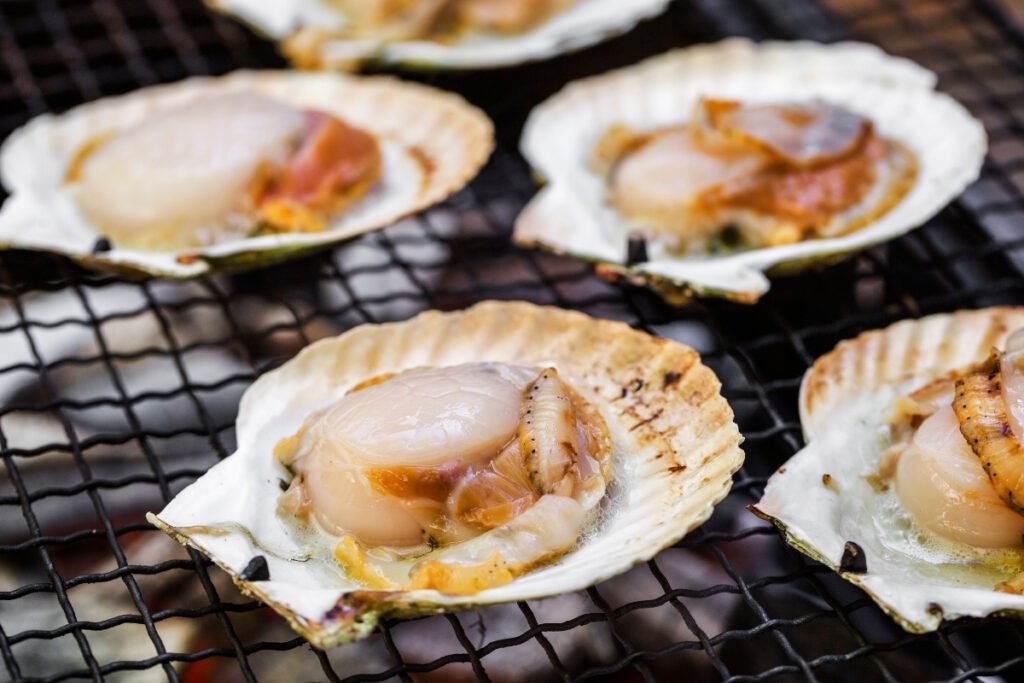 Giá trị dinh dưỡng và lợi ích sức khỏe của sò điệp Nhật đông lạnh"