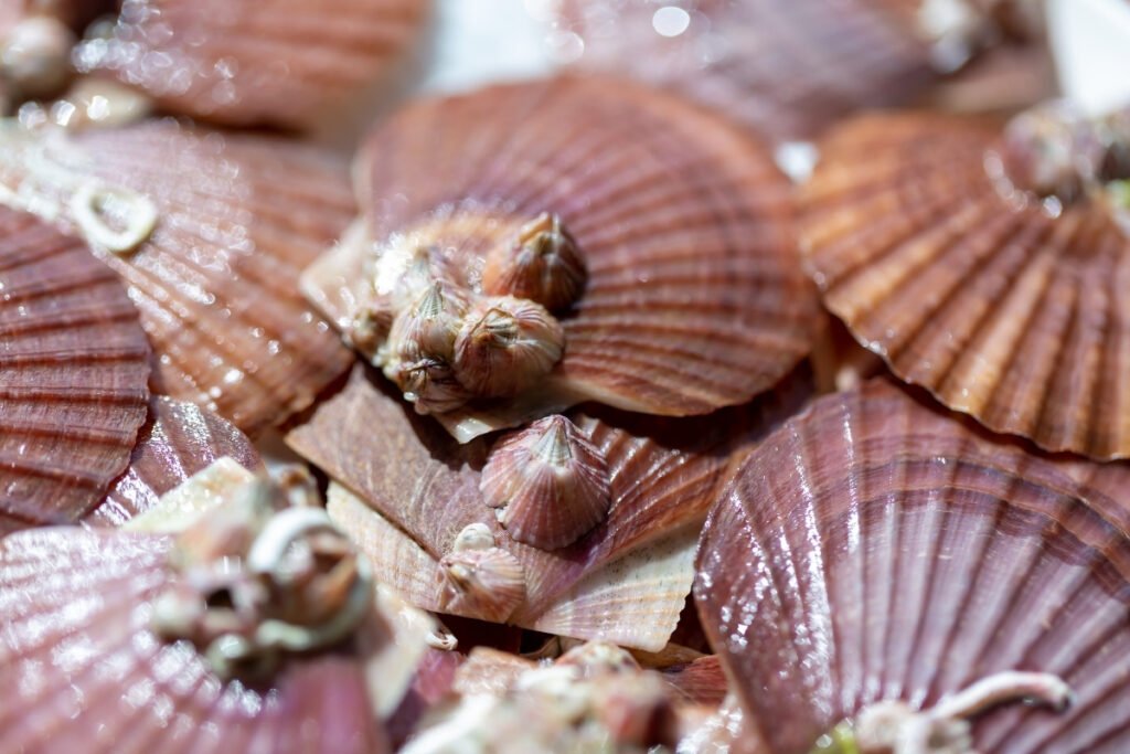 SO DIEP NHAT DONG LANH